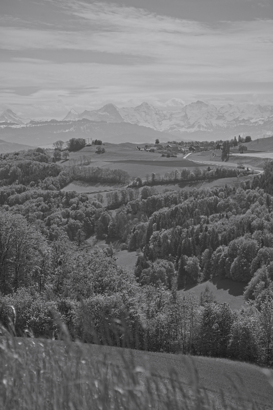 View from Gurten